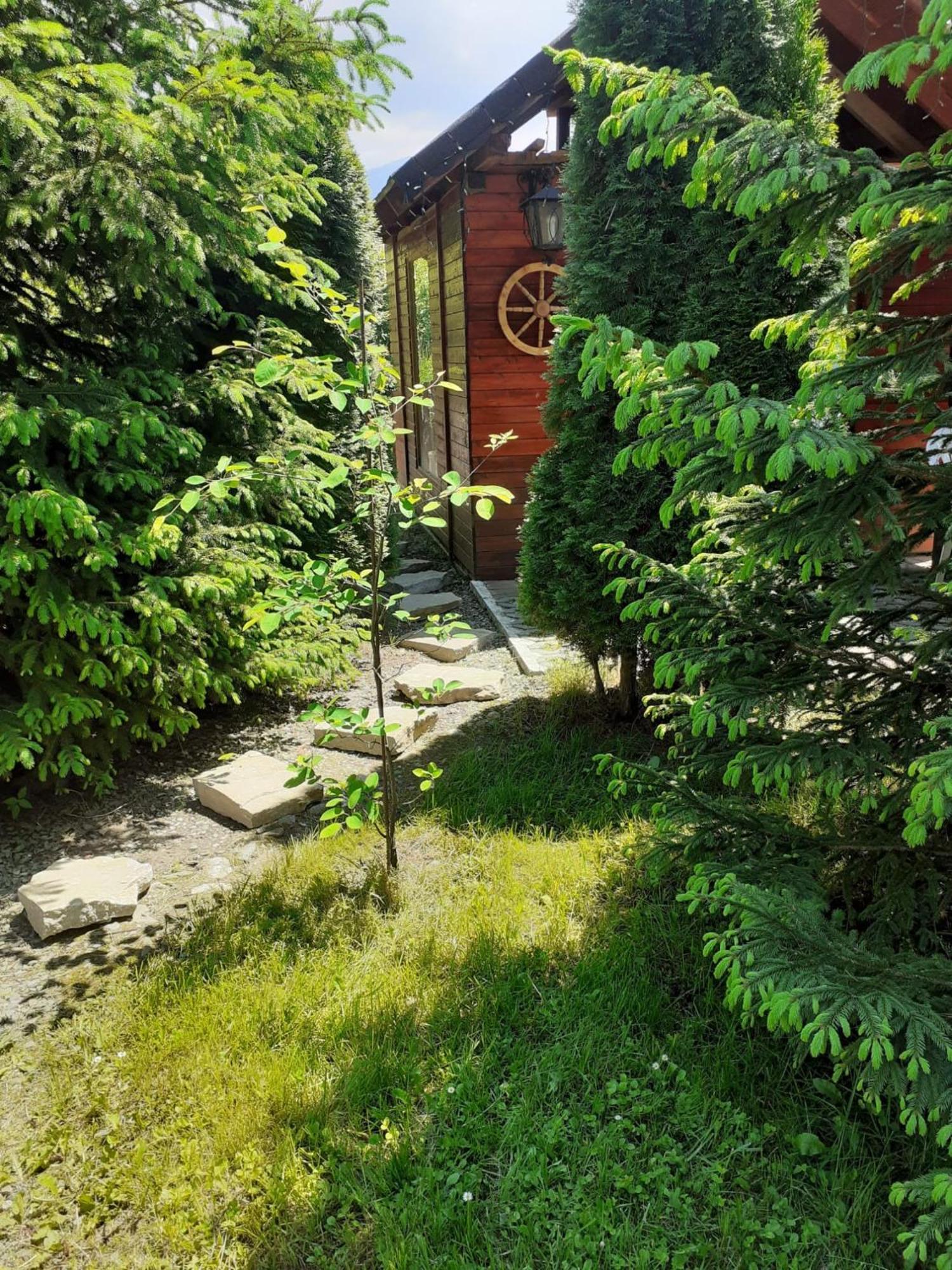 Colt De Rai Bran (Brasov) Exterior foto
