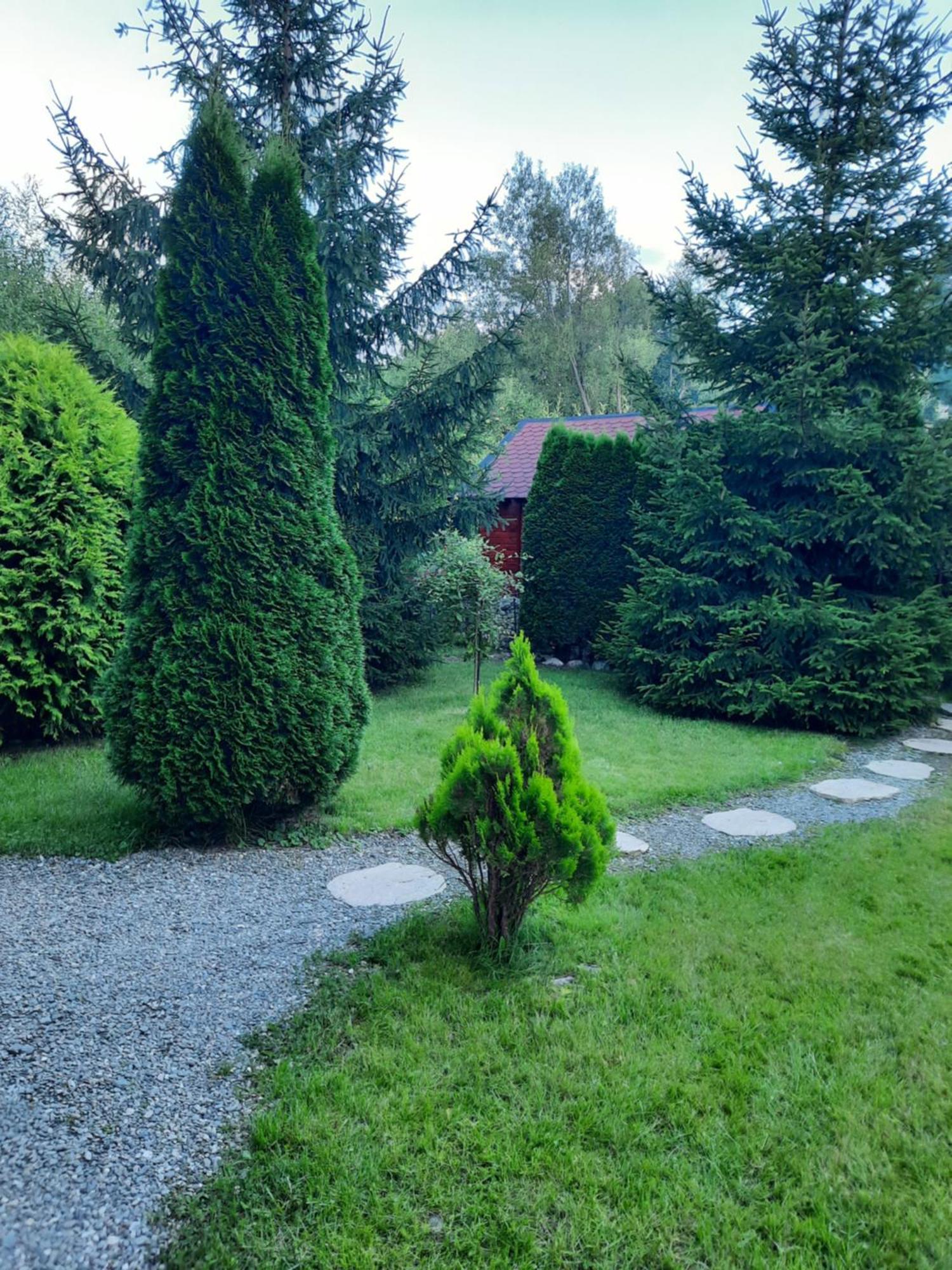 Colt De Rai Bran (Brasov) Exterior foto