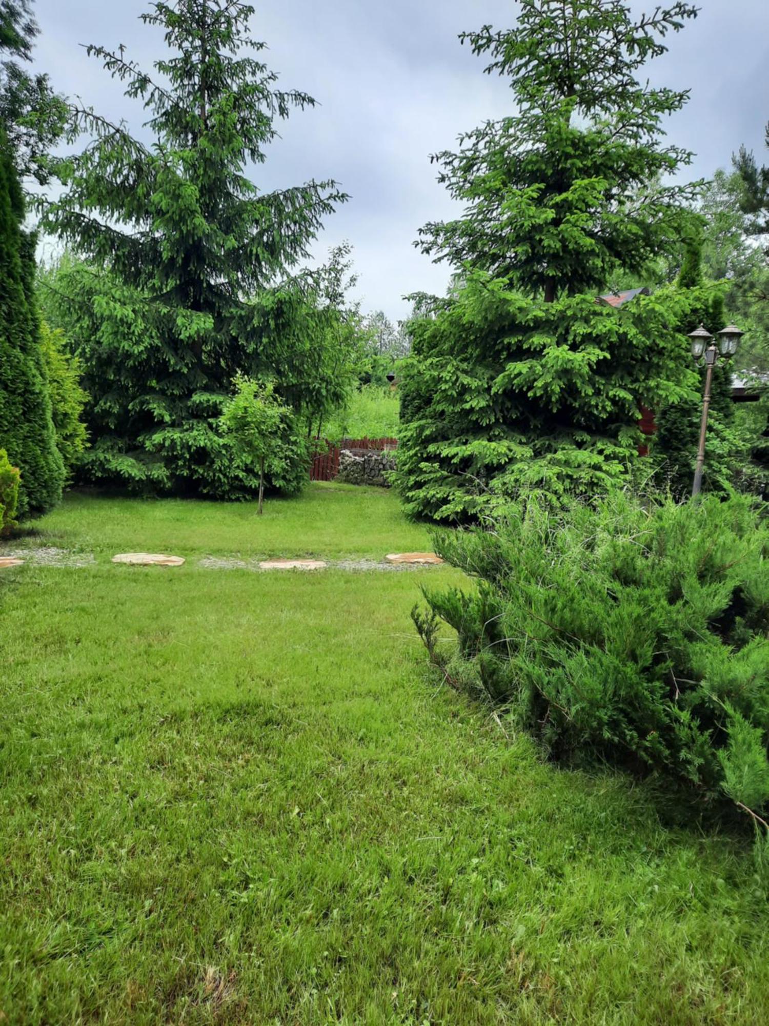 Colt De Rai Bran (Brasov) Exterior foto