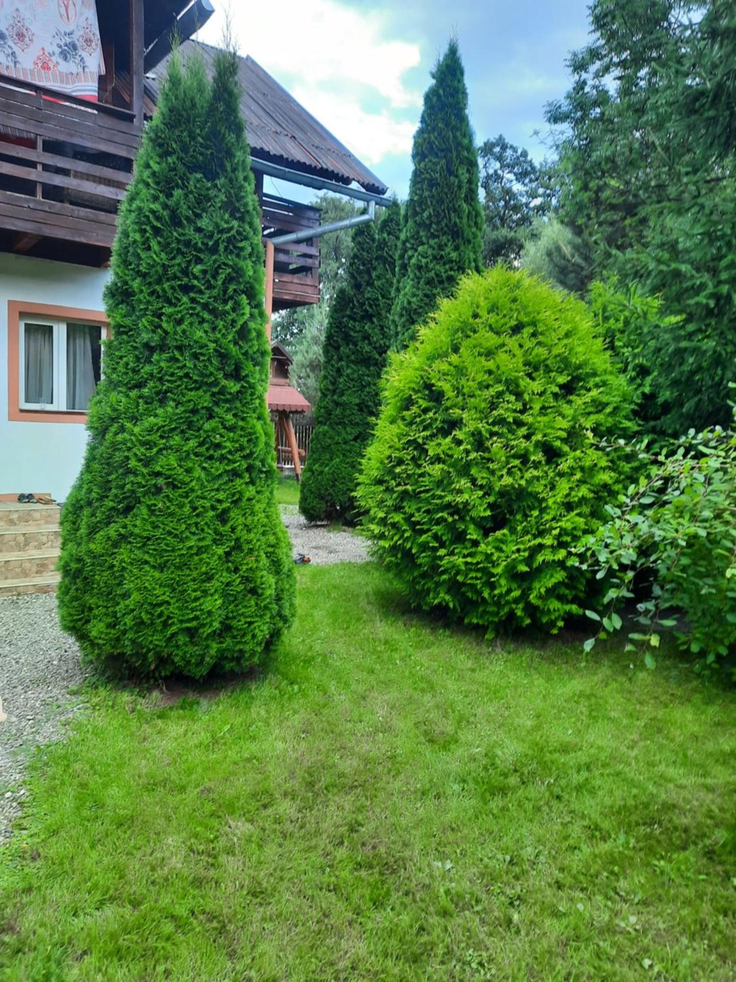 Colt De Rai Bran (Brasov) Exterior foto